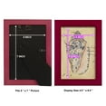 thumbnail image 4 of Seashell Ephemera I - Framed Print w/glass - Cherry Red, 4 of 8