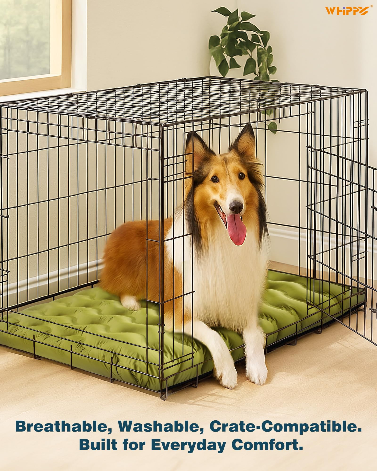 Orthopedic Dog Bed for Large Medium Small Dogs Waterproof Memory Foam Dog Crate Bed Washable Pet Bed with Removeable Cover, 30"x20", Green