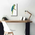thumbnail image 5 of Epic Graffiti 'Teal Macaw I' by Grace Popp, Giclee Canvas Wall Art, 12"x24", 5 of 8
