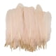 thumbnail image 2 of 50 piezas de plumas de ganso naturales de 5 a 8 pulgadas para manualidades y decoración de ropa. Rosa claro, 2 of 7