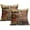 Bear Pillow Covers, variant on Rustic Bear Pillow Covers 16x16 inch Square Cotton Country Deer Pillow Covers Indoor and Outdoor Throw Pillow Covers Decorative for Couch/Bed/Living Room (Pack of 2)