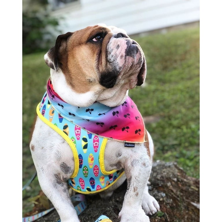 Frenchiestore Reversible Dog Health Harness