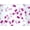 Bright Berry Confetti Heart, variant on Plus Size Perfect Printed Long-Sleeve Crewneck Tee