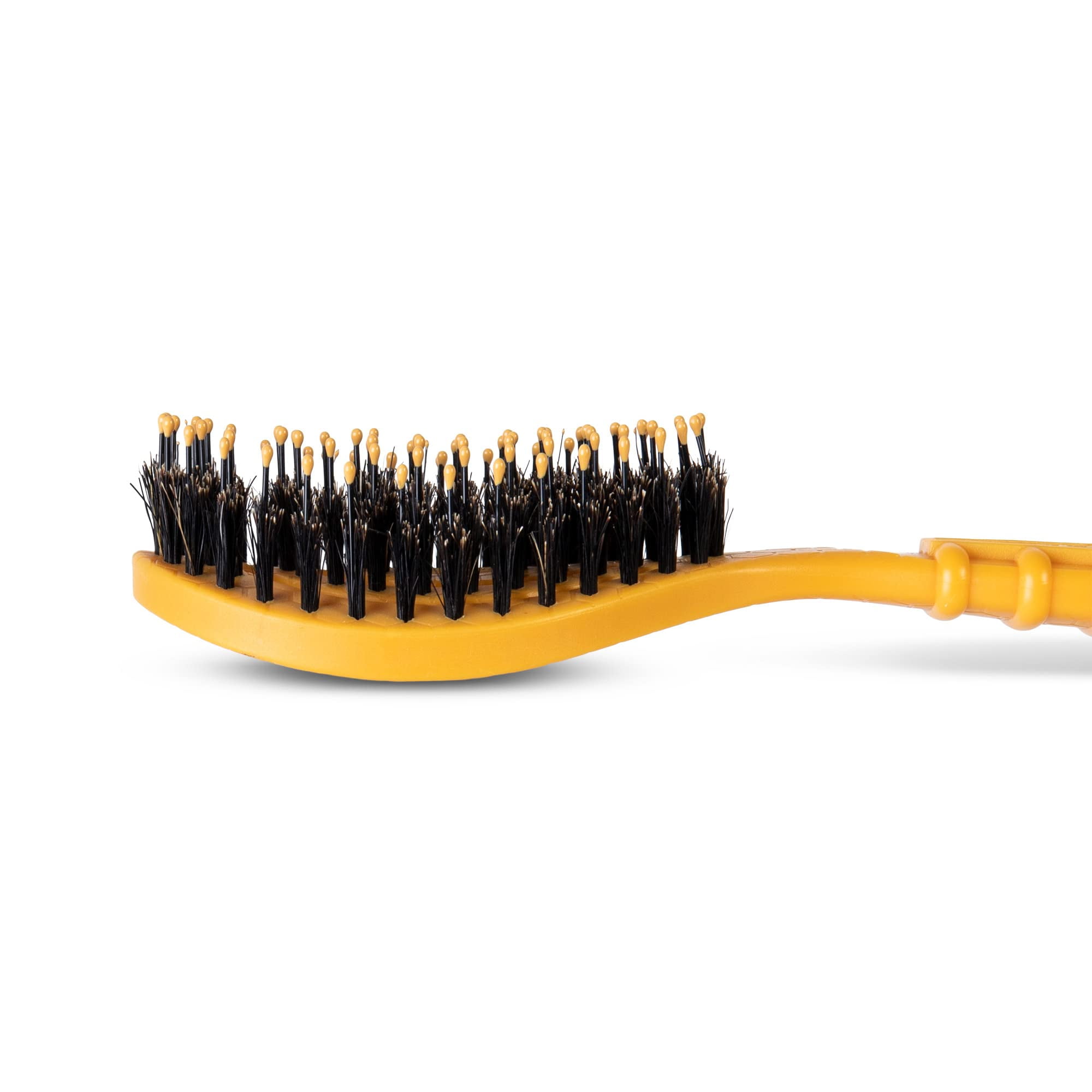 Burt's Bees For Pets Porcupine Bristle Brush for Puppies and Small Dog Flex-Head Grooming Brush