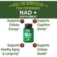 thumbnail image 2 of Ultra High Purity NAD Supplement For Women And Men. NAD+ Similar To Nicotinamide Riboside. Supports Energy, Brain Function, Healthy Aging & Longevity. Third Party Tested Non-GMO Supplements, 2 of 7