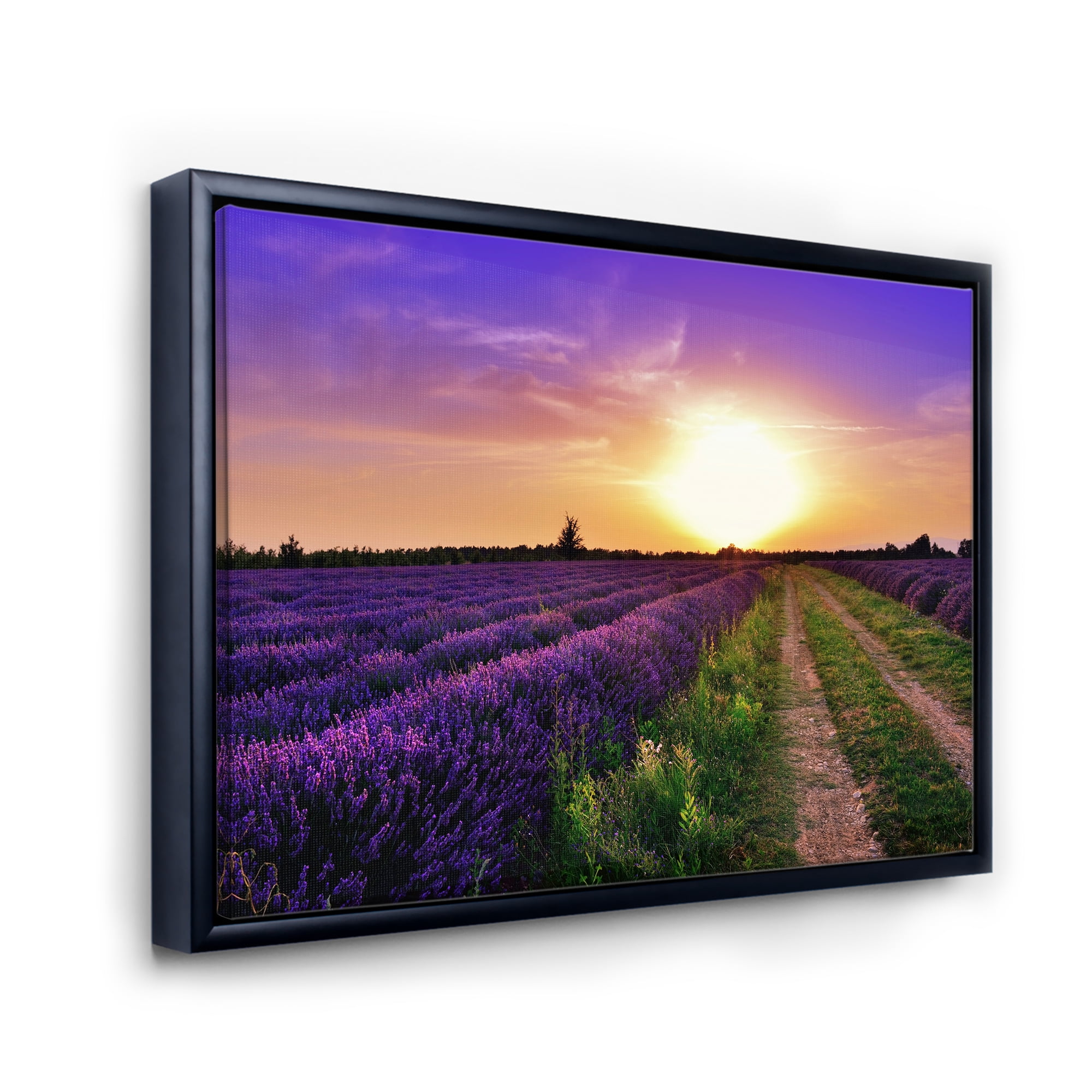 Designart 'Lavender Field At Sunrise II' Farmhouse Framed Canvas Wall Art Print