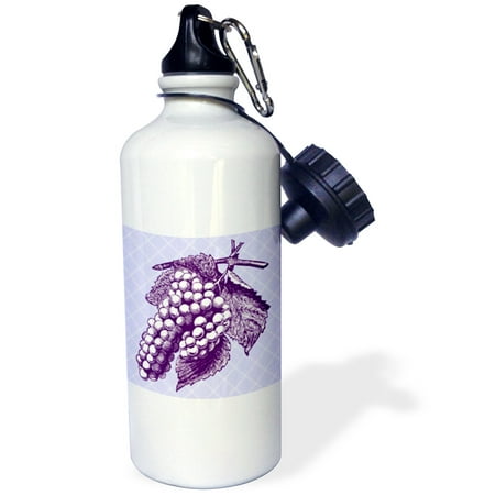

3dRose Purple Bunch of Grapes Vintage Engraving over diagonal Stripes - Water Bottle 21-ounce