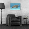 thumbnail image 3 of Epic Art 'Ocean Sea Turtle I' by Tim O'Toole, Acrylic Glass Wall Art, 24"x16", 3 of 3