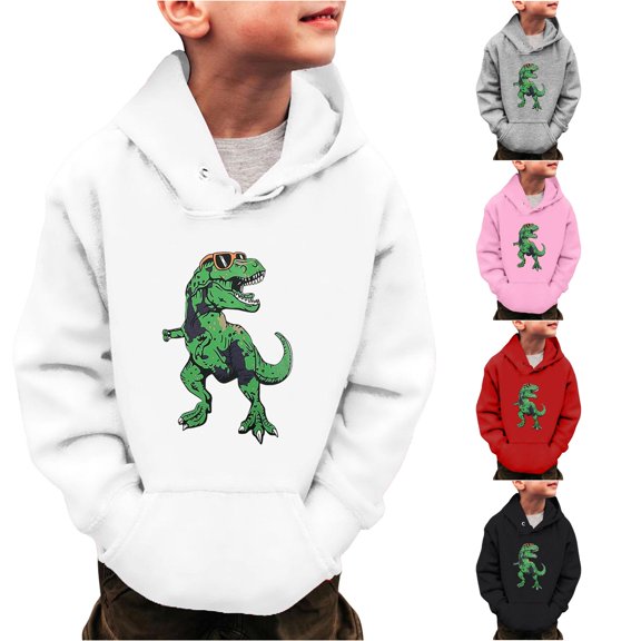 Little Boys Girls Dinosaur Sweatshirts Long Sleeve Hooded Pullover Toddler Kids Winter Warm Shirt Sweater Tops 3 14Years