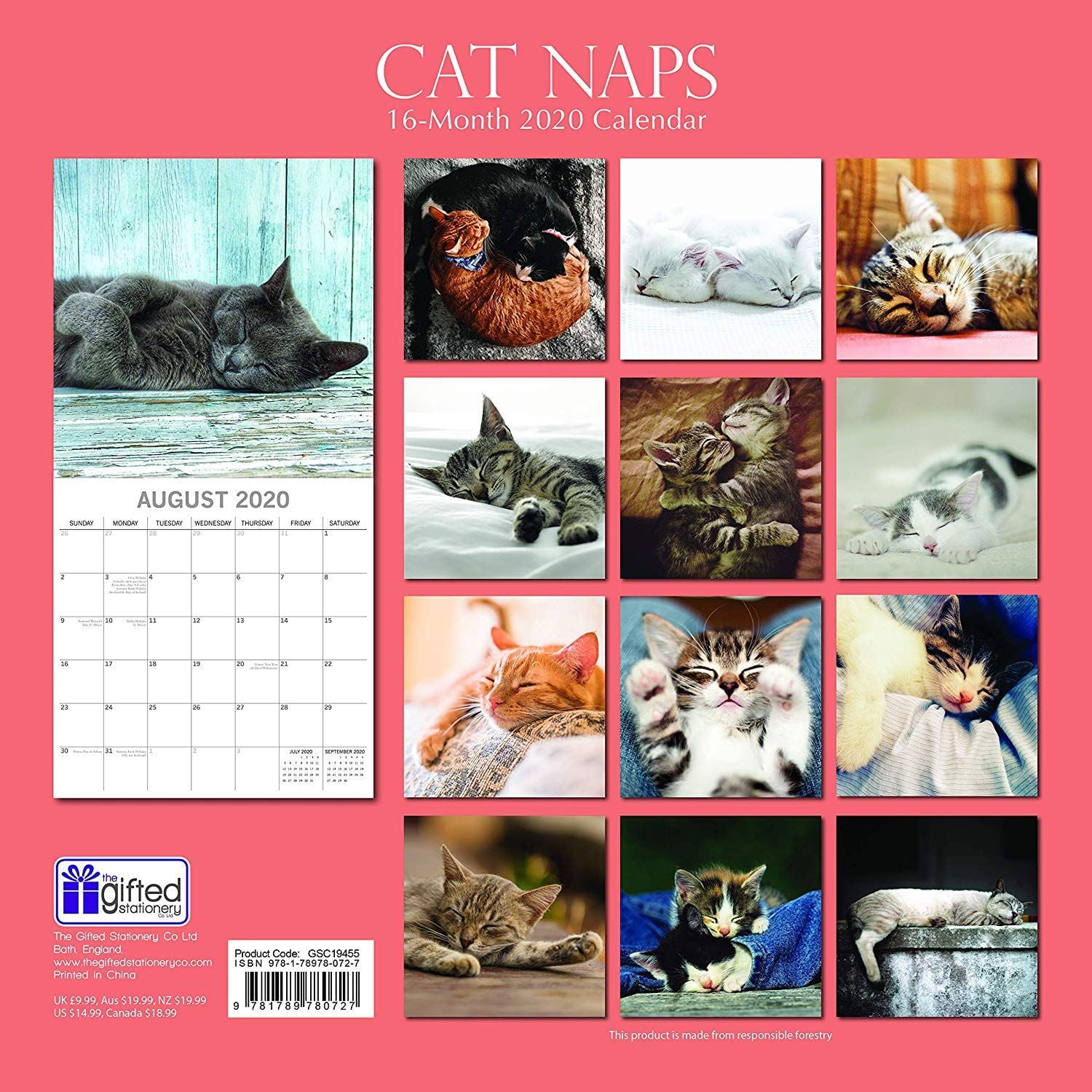 Wall Calendars Cat Naps Calendar 2021 Wall Calendar Animals Theme 12 x