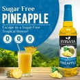 thumbnail image 2 of Syruvia Pineapple Sugar Free Cocktails Syrup 25.4 Fl. Oz With Pump, 2 of 7