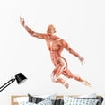 thumbnail image 1 of Flight Man Muscles Anatomy Wall Decal by Wallmonkeys Peel and Stick Graphic (48 in H x 48 in W) WM157450, 1 of 4
