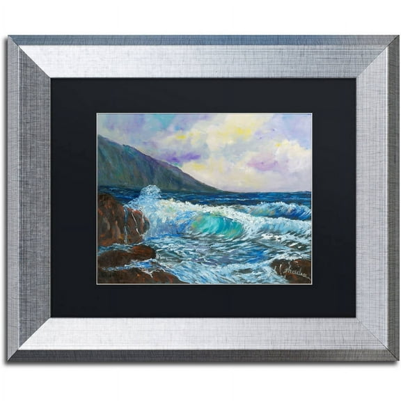Trademark Fine Art "Maui's Enchanting Seas" Canvas Art by Manor Shadian, Black Matte, Silver Frame