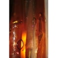 thumbnail image 3 of Meyda Tiffany 116174 4" W Marina Fused Glass Wall Sconce - MultiColor, 3 of 3