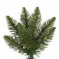 thumbnail image 2 of Vickerman 5.5' Durham Pole Pine Artificial Christmas Tree, Warm White LED Dura-lit Lights, 2 of 5