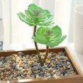 thumbnail image 1 of DIY Artificial Succulent Flocked Plant Fake Cactus Lotus Home Garden Decor, 1 of 1