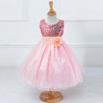 thumbnail image 2 of Girls Sequin Bodice Princess Dress Waist Flower Decor Dress Party Dress Flowy Tulle Skirt Silhouette For Little Girls Birthday Celebration Bridesmaid Wedding Attire Pink 140, 2 of 4