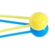 thumbnail image 4 of 5 Pcs Plastic Wind-up Balls Innovative Fun Classic Nostalgic Toy for Birthday Party, 4 of 4