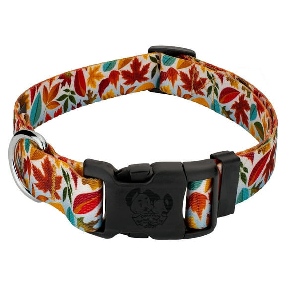 Country Brook Petz® Brisk Autumn Everyday Dog Collar - Made In The U.S.A., 2XS