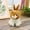 Brown, variant on Kayannuo Clearance Cute Simulation Rabbit Doll Plush Toy Doll Small White Rabbit Girl Heart Birthday Gift
