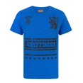 thumbnail image 1 of Harry Potter Boys Blue Short Sleeved T-Shirt, 1 of 1