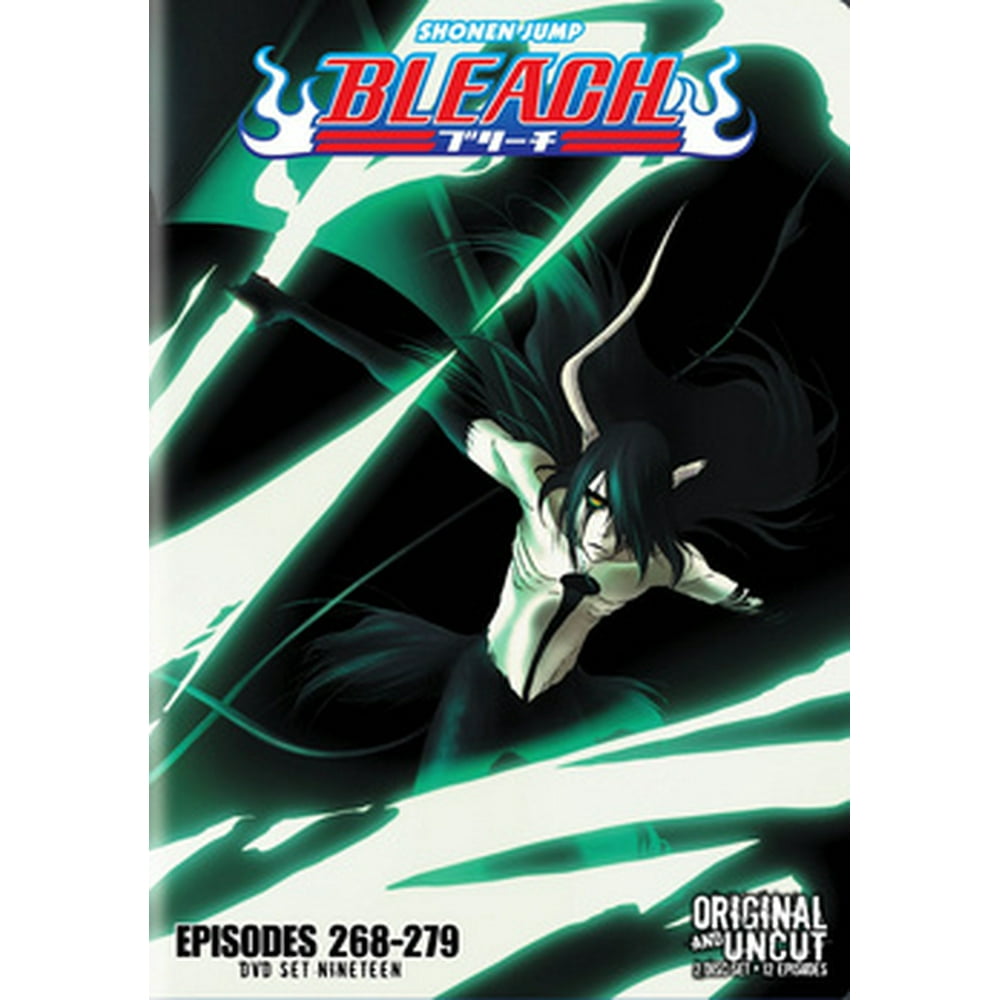BLEACH BOX SET 19 (DVD/UNCUT/2 DISC/VIVA) (DVD)