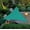 Green#2, variant on Sun Shade Sail for Patio & Garden | UPF40+ Blocks 98% of Harmful Rays | Easy to Install with D-Rings & Ropes | Includes Storage Bag | Ideal for Outdoor Picnics & Camping