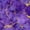 Color 1, variant on Peel and Stick Wallpaper Elegant Purple Marble Gold modern luxury decor elegant Wall Mural 17.7in x 9.8ft Self Adhesive Removable Wall Paper for Nursery Bedroom Cabinets