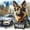 12x12 inch, variant on DIY Diamond Painting Kits for Adults City German Shepherd Police Officer 5D Diamond Art Kits, Full Drill Diamond Painting Kits, Gem Arts and Crafts for Beginner Home Wall Decor