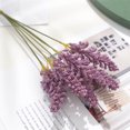 thumbnail image 2 of Naiovety Ramo de flores de hierba de trigo Artificial, 6 uds., simulación de mano pequeña y fresca, artesanía de trigo, accesorios de decoración para Plantas Artificiales morado oscuro Naiovety HA7512-06B, 2 of 6