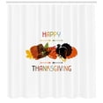 thumbnail image 3 of Ambesonne Turkey Shower Curtain, Bird Pumpkin Pilgrim Hat, 69"Wx75"L, Multicolor, 3 of 3
