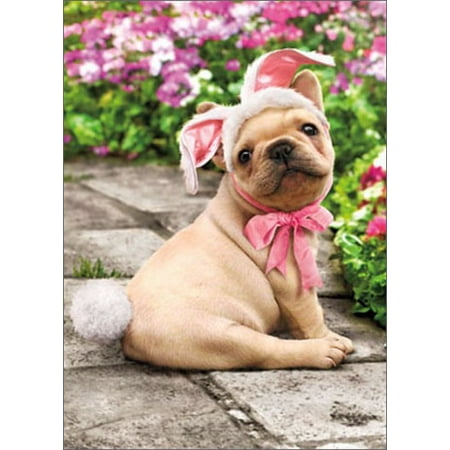 Pin The Tail On The Bunny - Avanti Press Dog With Bunny Tail Funny / Humorous Easter Card