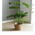 thumbnail image 3 of Woven Flower Pots Extra Large Potted Green Flower Woven Floor To Ceiling Indoor Bonsai, 3 of 5