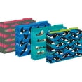 thumbnail image 2 of Barker Creek On-Trend Organizer Set, Sea & Sky Whales, Coordinated Set includes 12 Designer File Folders, 50 Sheets of Decorative Computer Paper, and 30 Peel & Stick Library Pockets (4101), 2 of 3