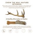 thumbnail image 6 of 2 Pack - Large, Premium Deer Antlers for Dogs, All Natural Dog Chews - Grade A - WhiteTail Naturals, 6 of 7
