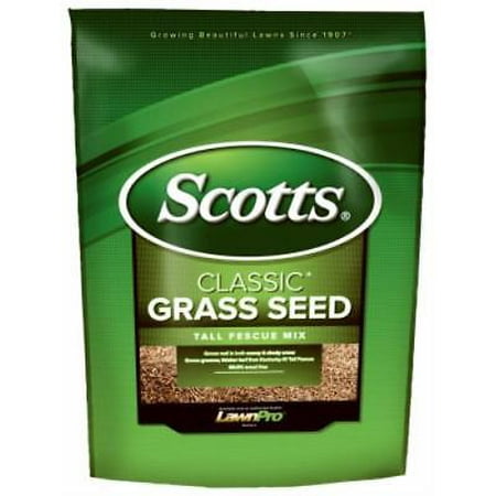 Scotts 3 LB Classic Tall Fescue Seed Grows Well In Both Sunny & Shady (Best Lawn Seed For Shady Areas)