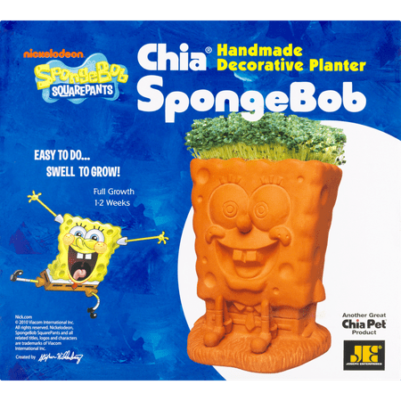 As Seen on TV Chia Pets-SpongeBob, Scooby-Doo, Hello Kitty, Puppy and More