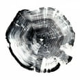 thumbnail image 2 of Harper, Ethan 26x26 Black Ornate Wood Framed with Double Matting Museum Art Print Titled - Tree Ring Abstract I, 2 of 4