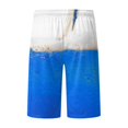 thumbnail image 3 of Aayomet Mens Swim Trunks Novelty Beach Shorts Breathable Tether Print Board Shorts (Blue, S), 3 of 5