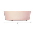 thumbnail image 5 of Vibrant Life Melamine Dog Bowl, Pink, Small, 5 of 7