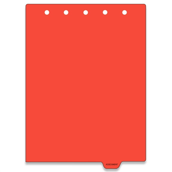 Carstens - Heavy Duty Assessments Plastic Ring Binder Dividers, Bottom Tab, 1/9 Cut, Tab 7 Position, US Letter, Pack of 10, (2623-26) - Ideal Medical Chart Dividers for 3 Ring Binders