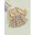 thumbnail image 3 of TSEXIEFOOFU Toddler Girls Spring Autumn A-line Dress Long Sleeve Dot Print Tulle Patchwork Dress, 3 of 9