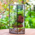 thumbnail image 6 of NCYP Geometric Large Glass Terrarium with Door, for Plants, Moss Wall Landscapes 6.1" x 6.1" x 11.8" (Terrarium Only), 6 of 9