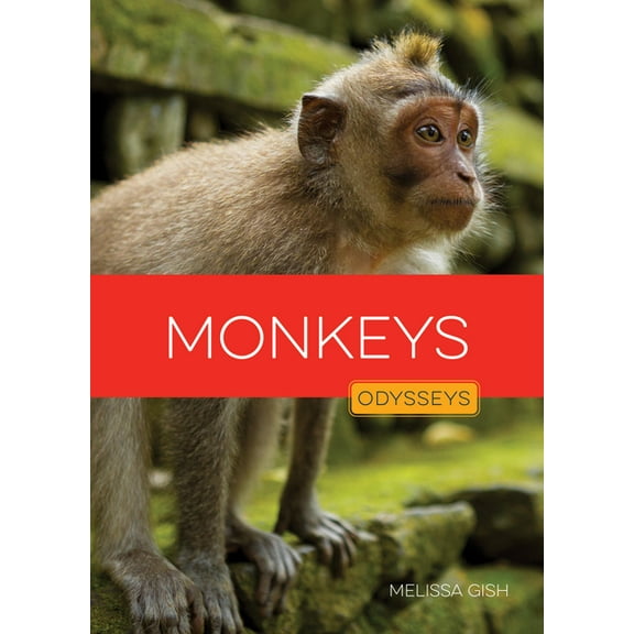 Monkeys, (Paperback)