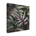 thumbnail image 2 of Trademark Fine Art 'Funky Ferns VI' Canvas Art by Laura Marshall, 2 of 3