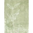 thumbnail image 2 of Fagalde, Jarman 25x32 White Modern Wood Framed Museum Art Print Titled - Essential Botanicals IV, 2 of 4