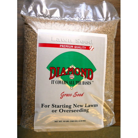 The Dirty Gardener Evergreen Elite 5 Way Turf Type Tall Fescue Grass Blend - 5 (Best Way To Remove Turf)