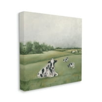 Dairy Cows Grazing in Rolling Green Field Farms Landscape Gallery-Wrapped Canvas Print Wall Art, 17x17