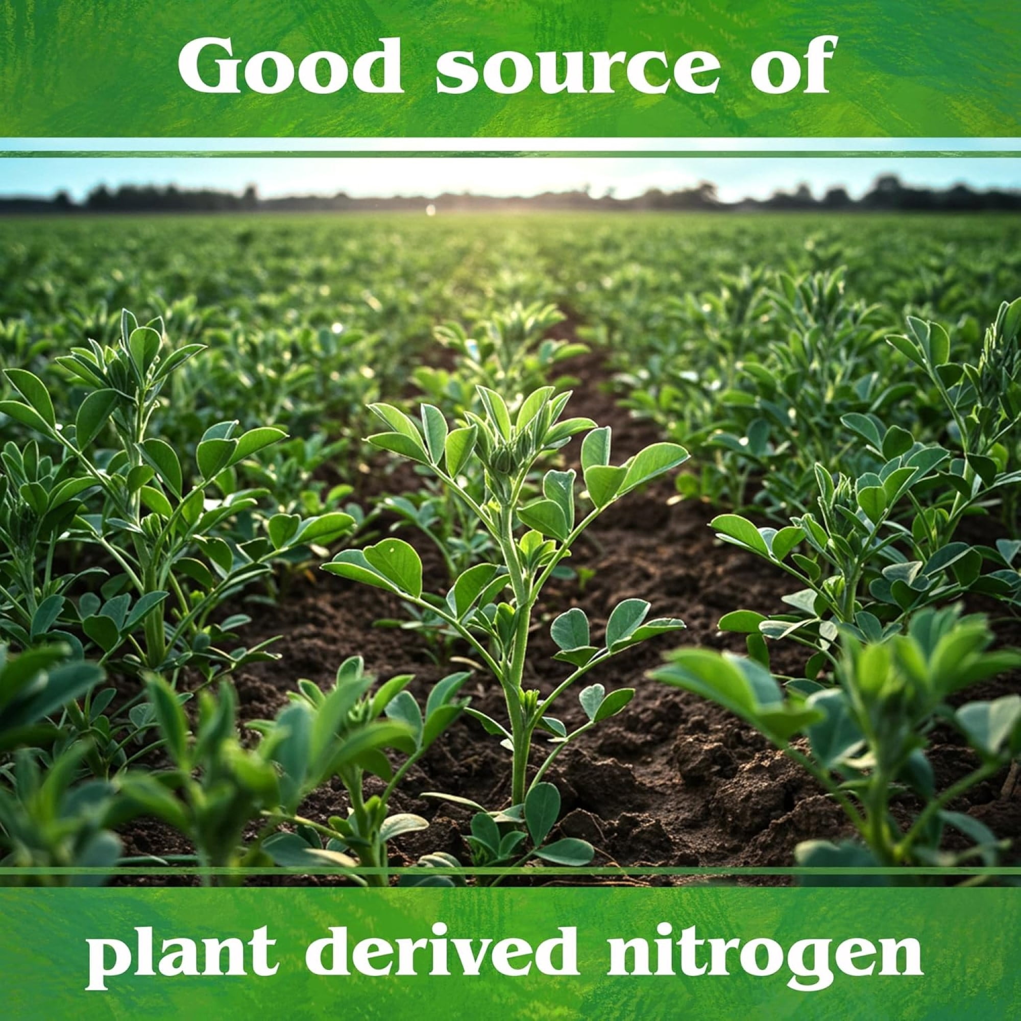 Down To Earth Alfalfa Meal 2-0-1 Organic Plant Food, 40 lb Bag