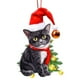 thumbnail image 2 of Xihbxyly Colgante de Gato para Árbol de Navidad, Divertido Adorno Acrílico, Colorido Adorno Navideño, Ideal para Interiores y Exteriores, Regalo para Fiestas Navideñas, Multiusos para El Hogar, Diseñ, 2 of 3